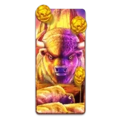Buffalo
King